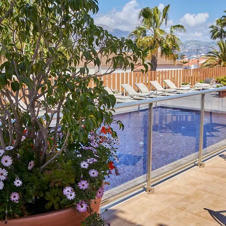 Апартаменты Albir Palace *